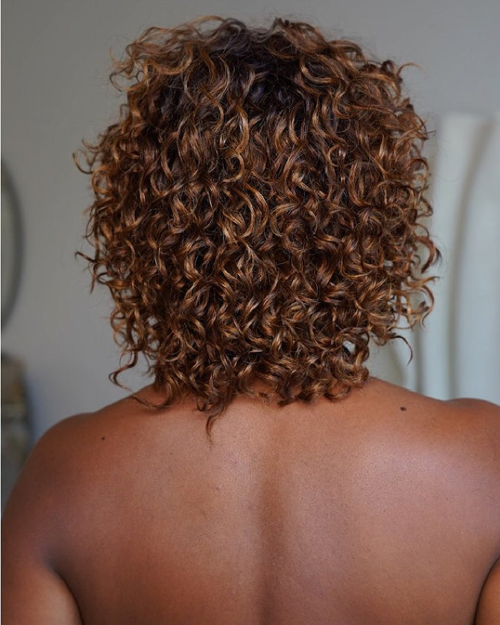 Glueless Brown with Blonde Highlight Color Curly Bob Wig